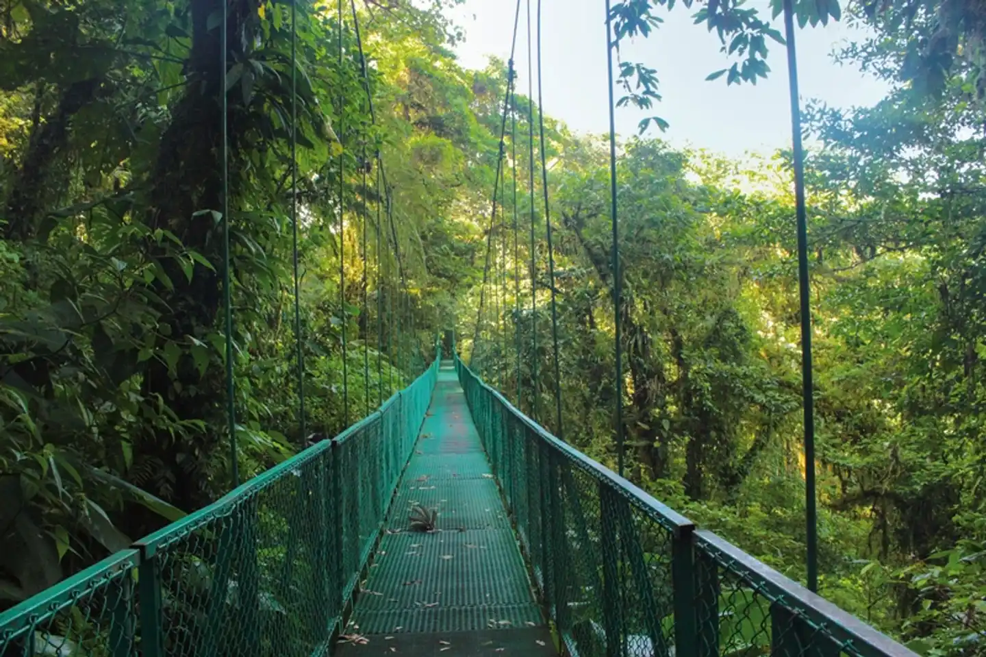 ADAC Special: Costa Rica - Grünes Juwel zwischen Karibik und Pazifik Landschaft