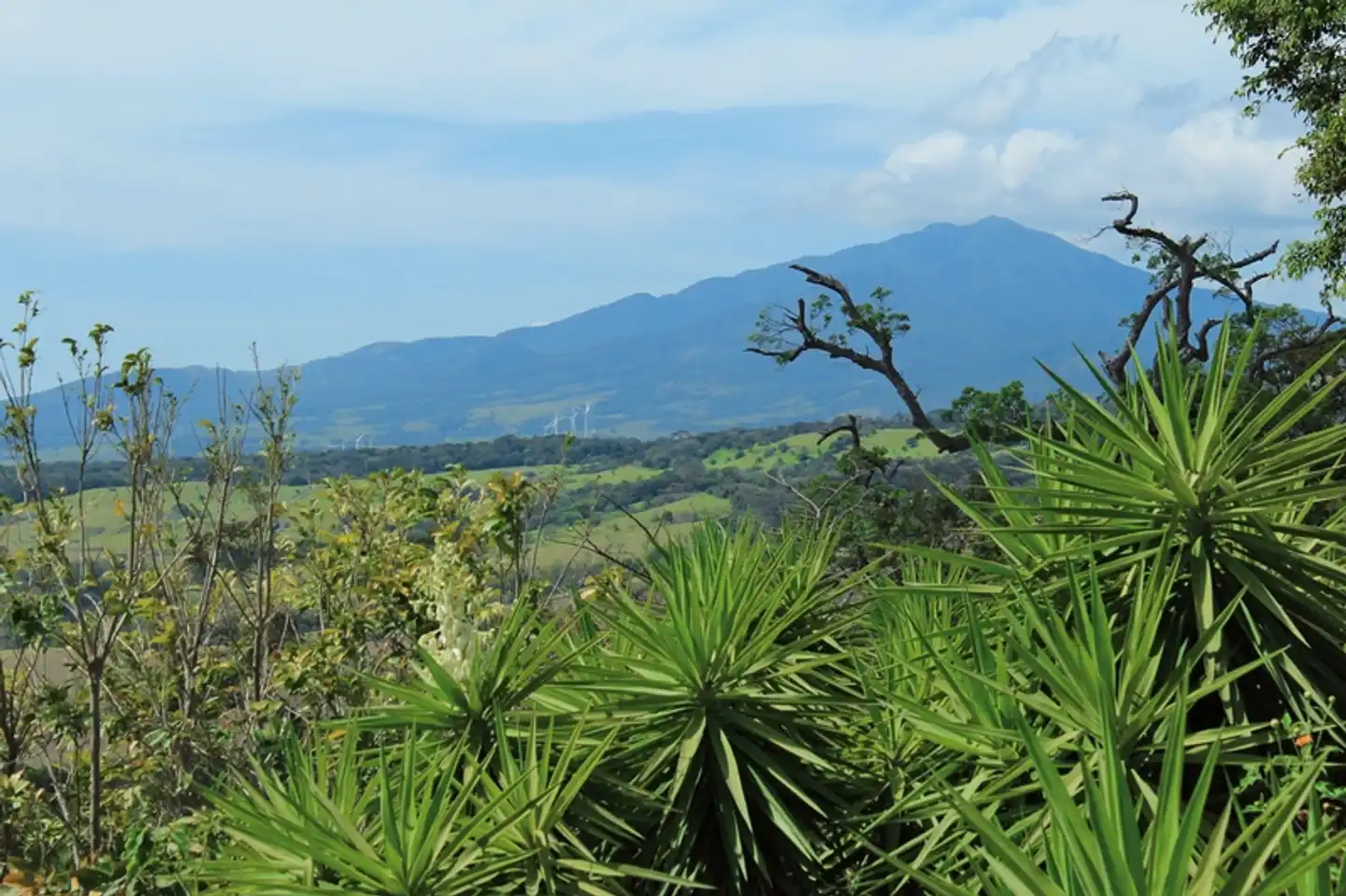 ADAC Special: Costa Rica - Grünes Juwel zwischen Karibik und Pazifik Landschaft