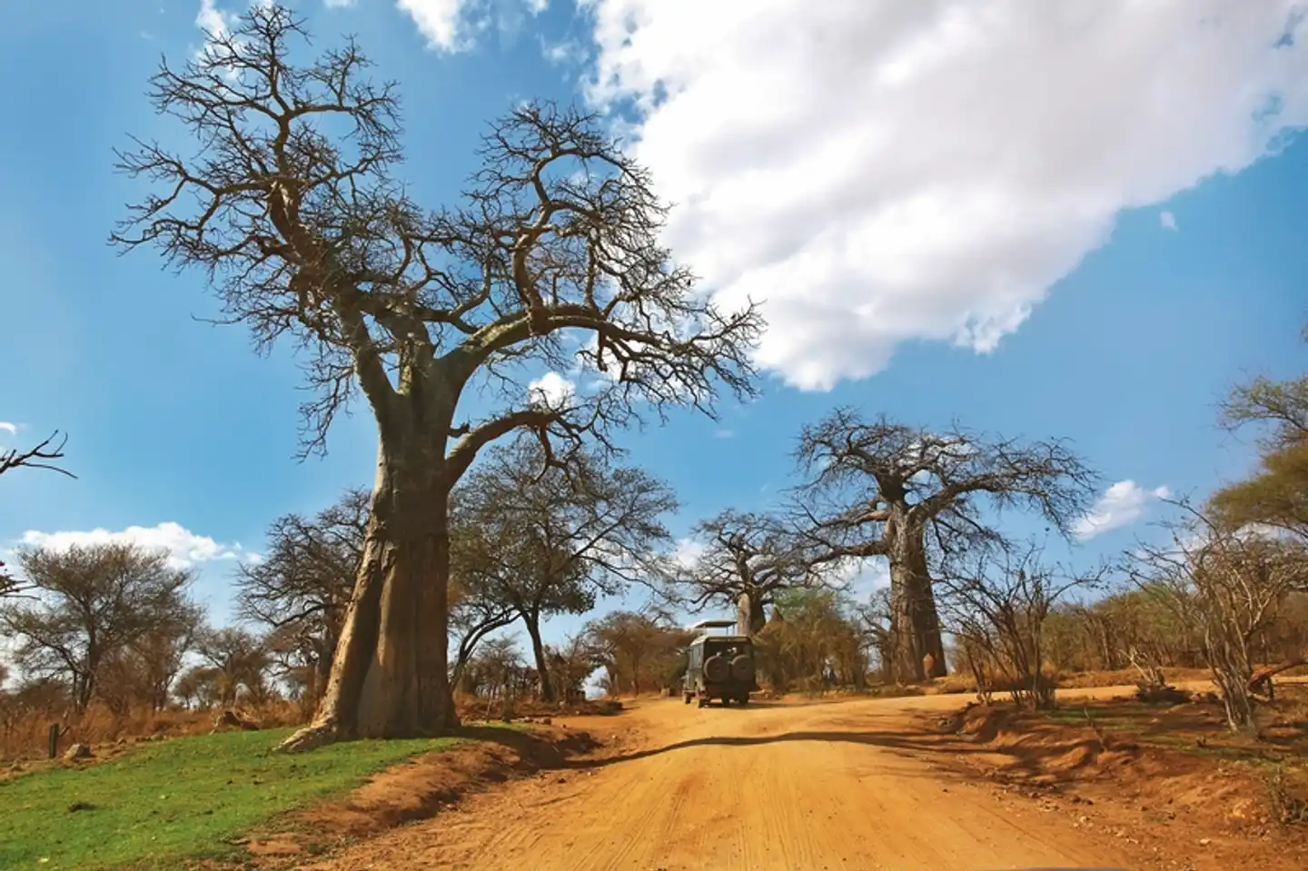 ADAC Special: Tansania und Sansibar - Tierwunder am Kilimanjaro Landschaft