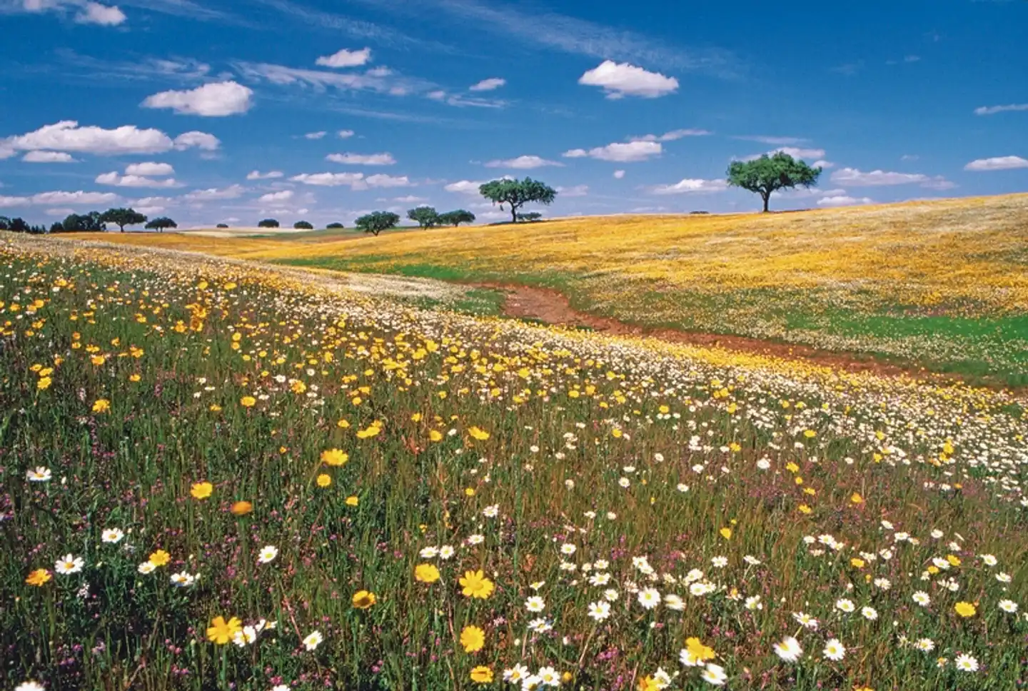 Trendregion Alentejo Landschaft