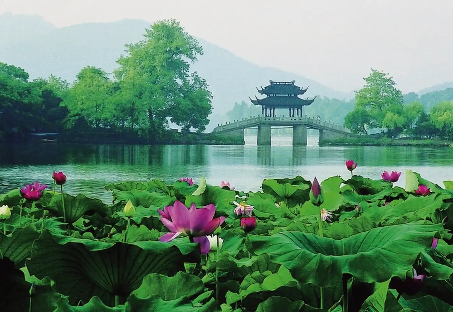 Die Gärten Chinas Garten