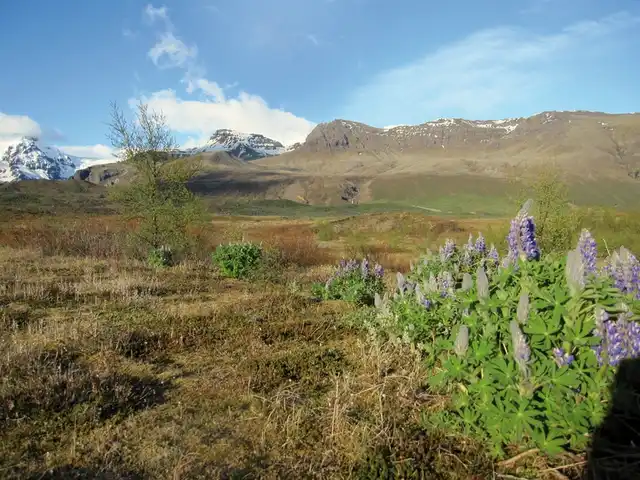Rund um Island - Ringstraße und Snæfellsnes Landschaft