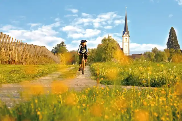 Bodensee-Radweg Bummlertour Landschaft