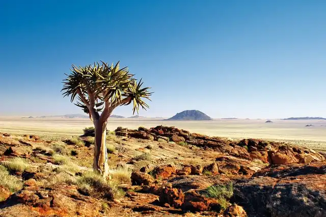 ADAC Special Unter dem Himmel Namibias Landschaft