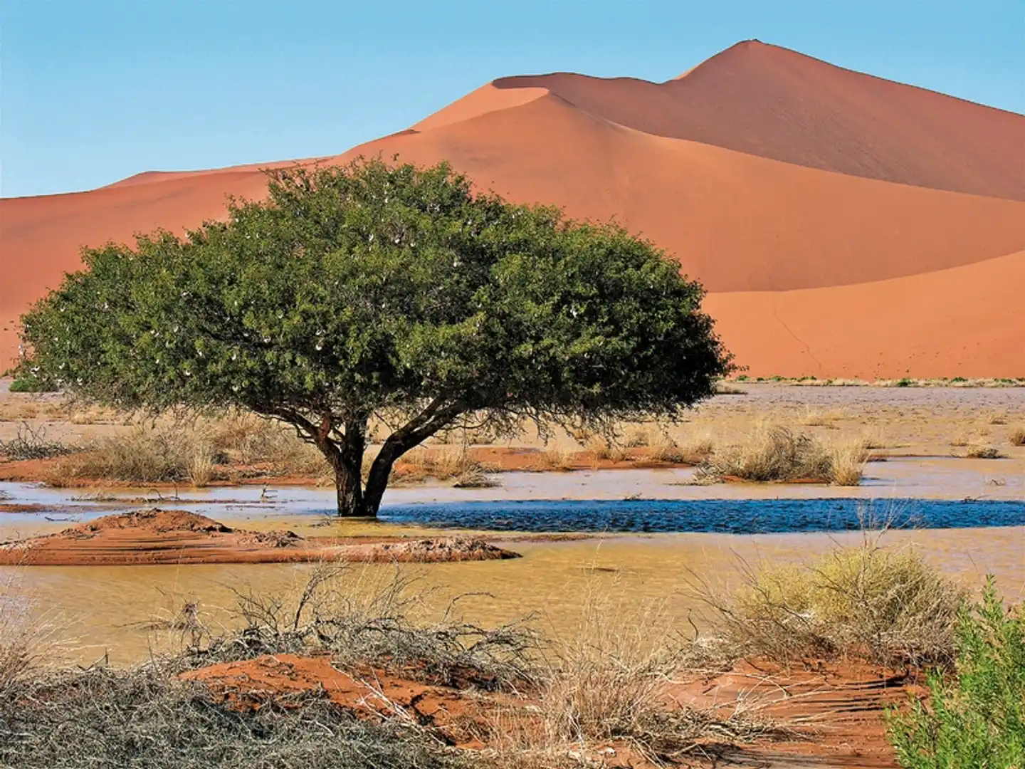 ADAC Special Unter dem Himmel Namibias Landschaft