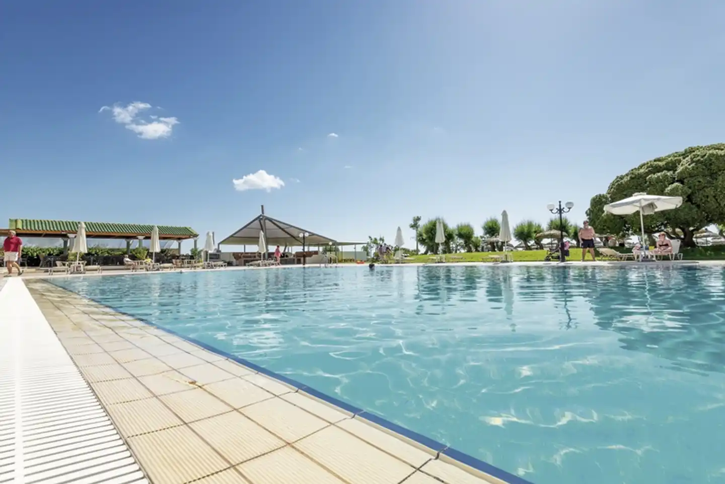 Apollo Beach POOL