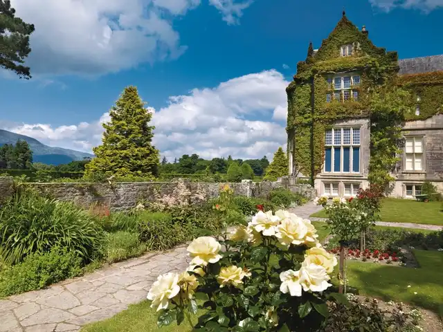 Irische Highlights Garten