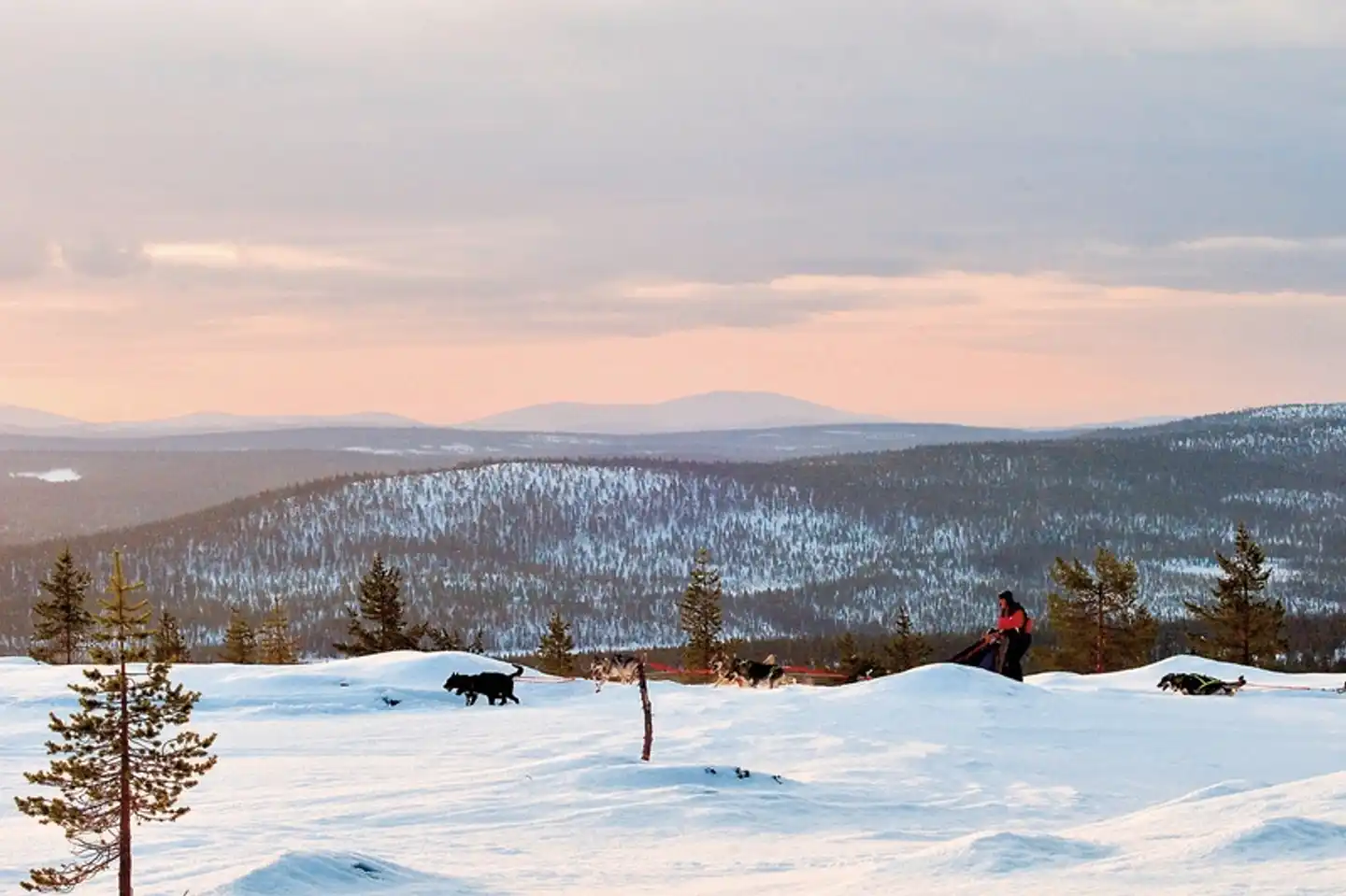 Harriniva - Polarlichtzauber in Lappland Landschaft