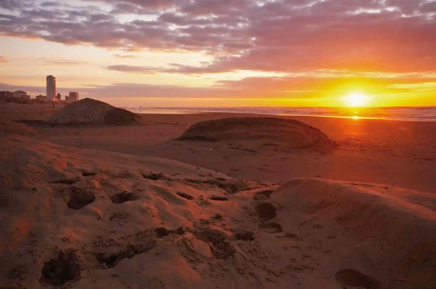 NH Zandvoort Landschaft