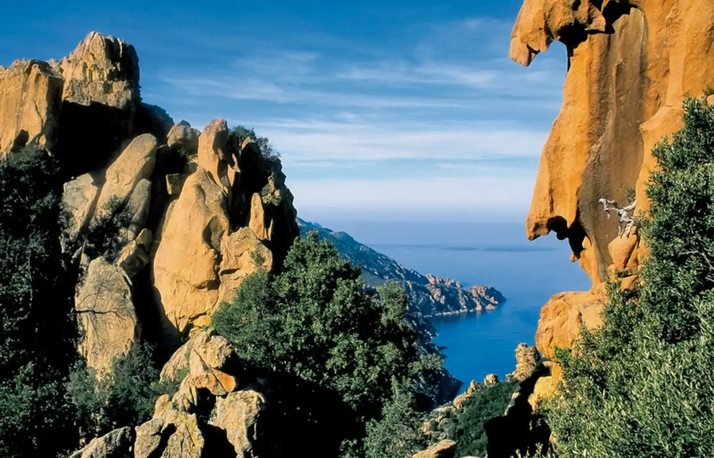 Korsika - ein Gebirge im Meer Tiere