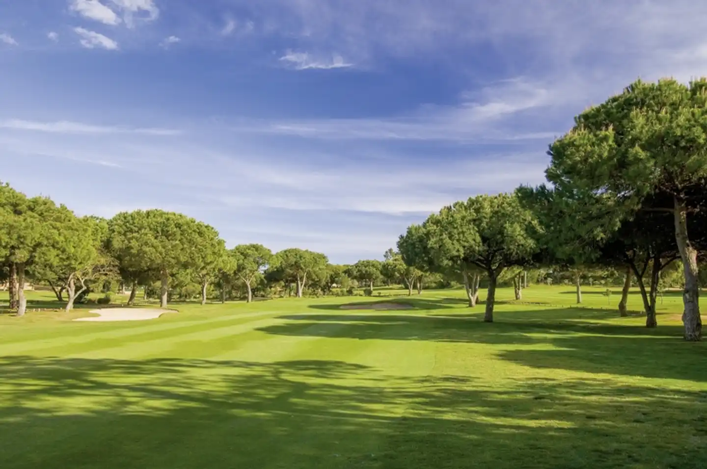Pestana Dom João II Beach & Golf Resort Sport und Entertainment