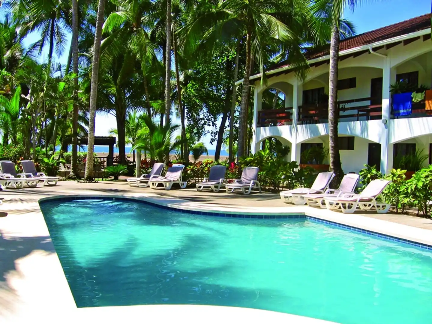 Pochote Grande Pool