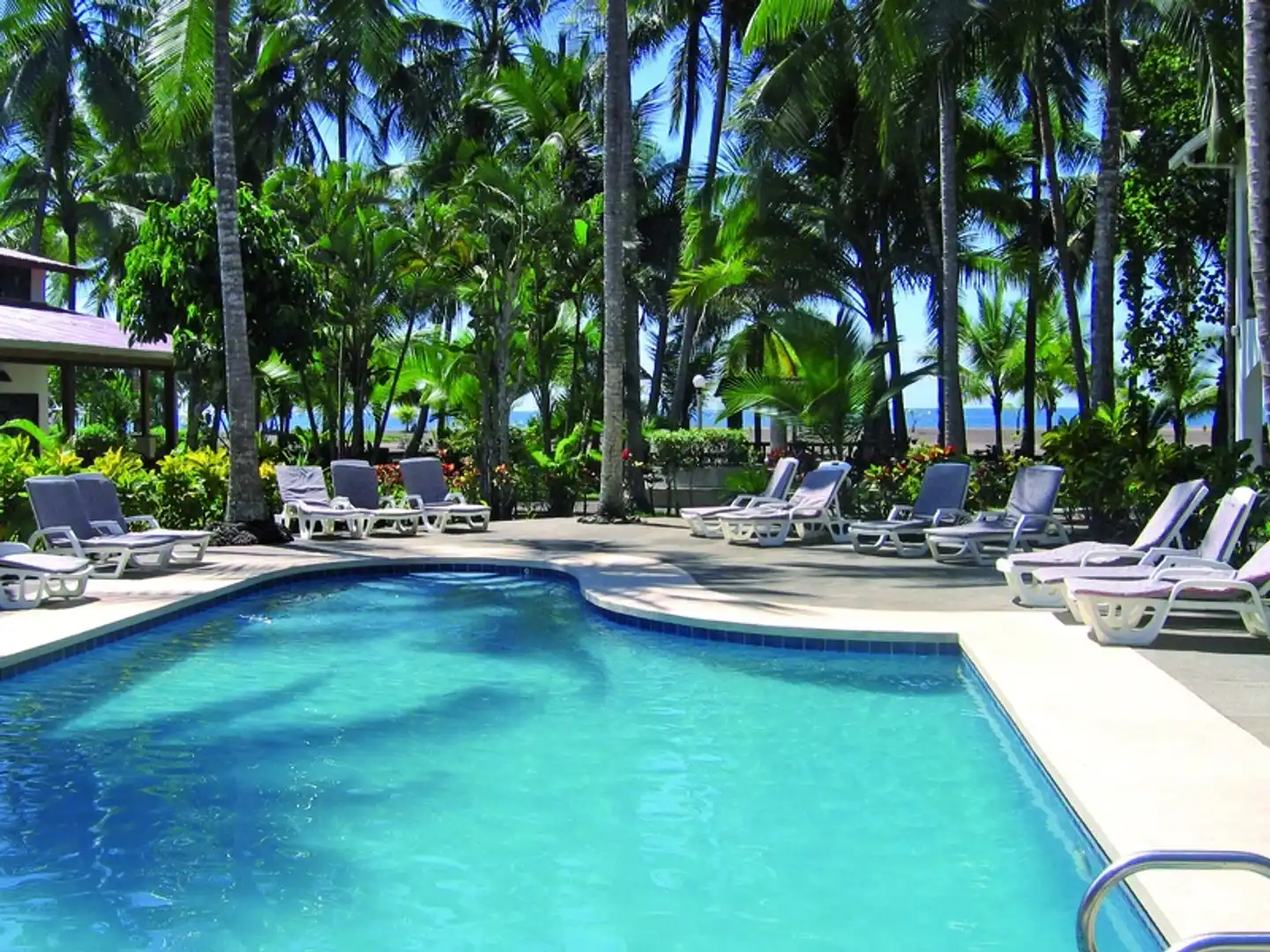 Pochote Grande Pool