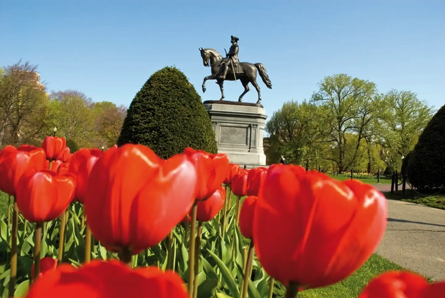Raffles Boston Landschaft