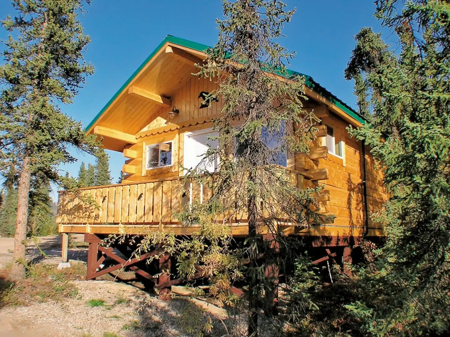 Denali Grizzly Bear Resort Aussenansicht