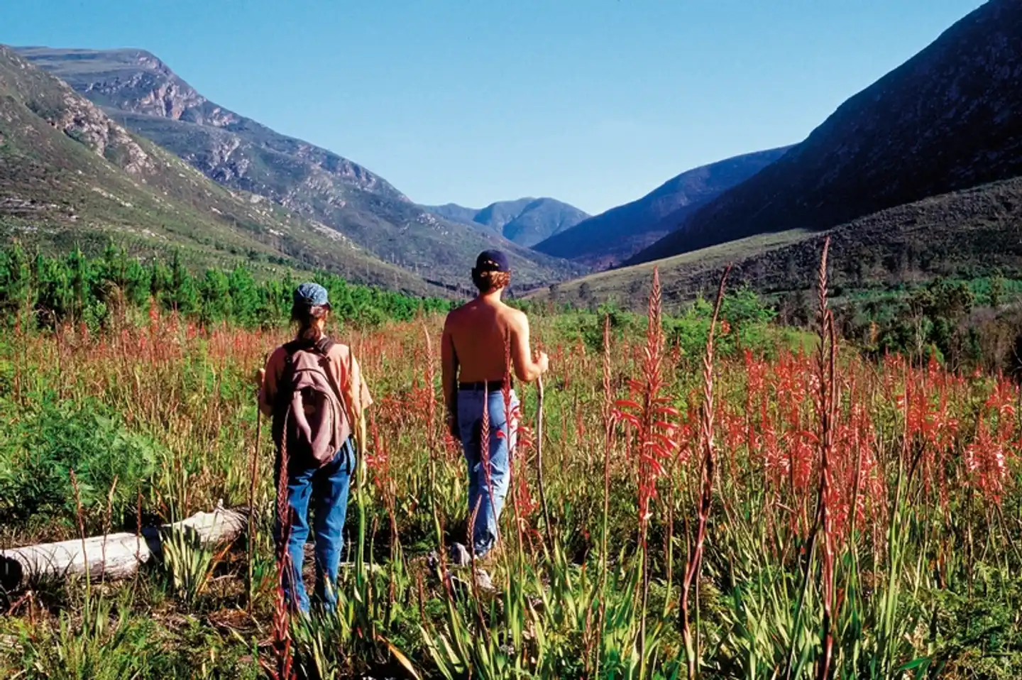 Tsitsikamma Lodge & Spa Landschaft
