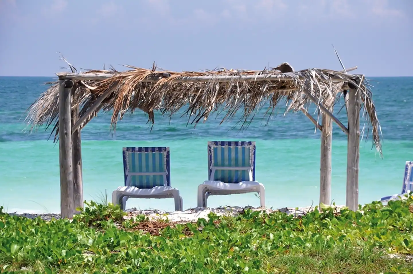Cayo Levisa Garten