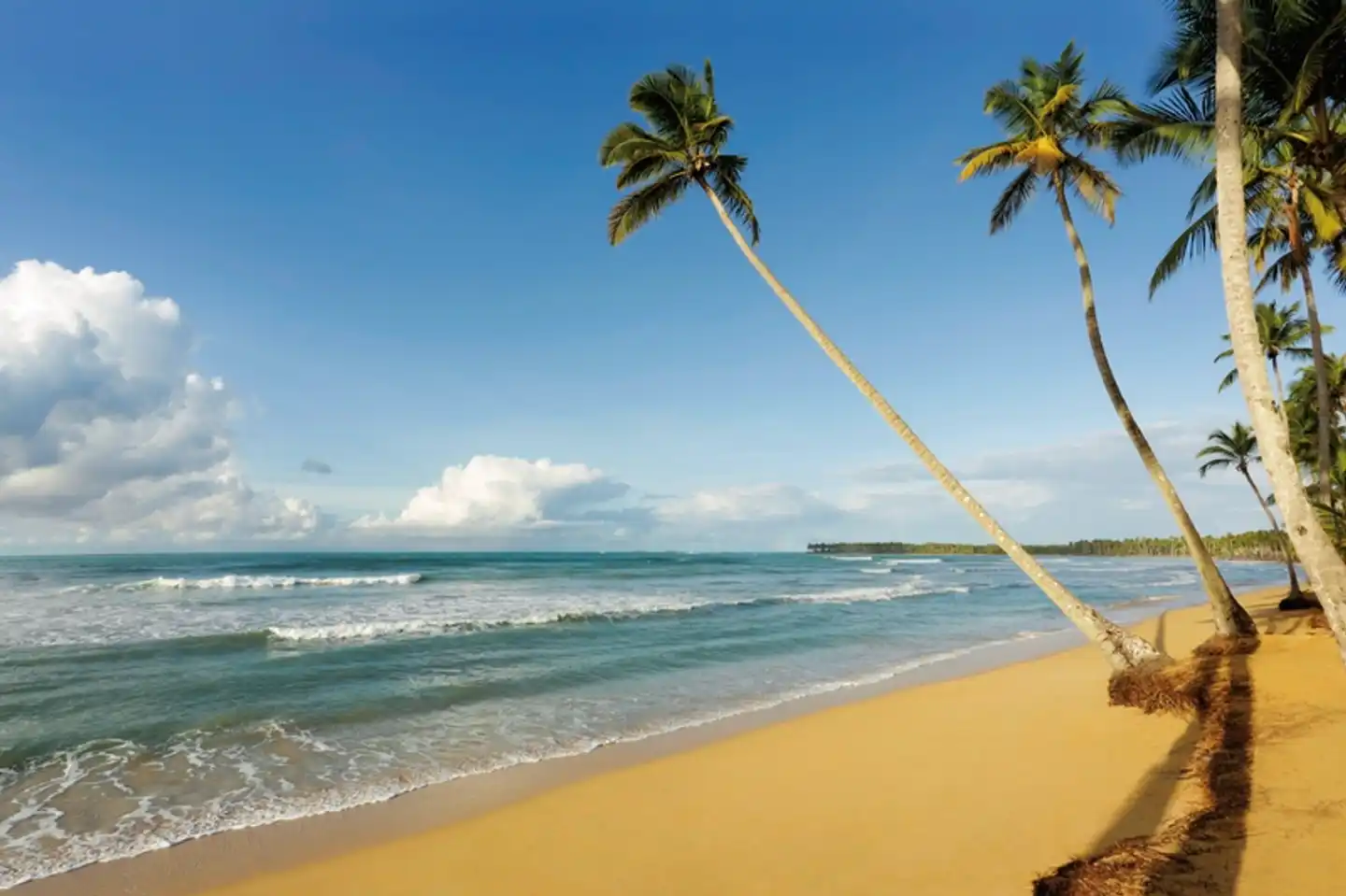 Viva V Samaná by Wyndham Strand