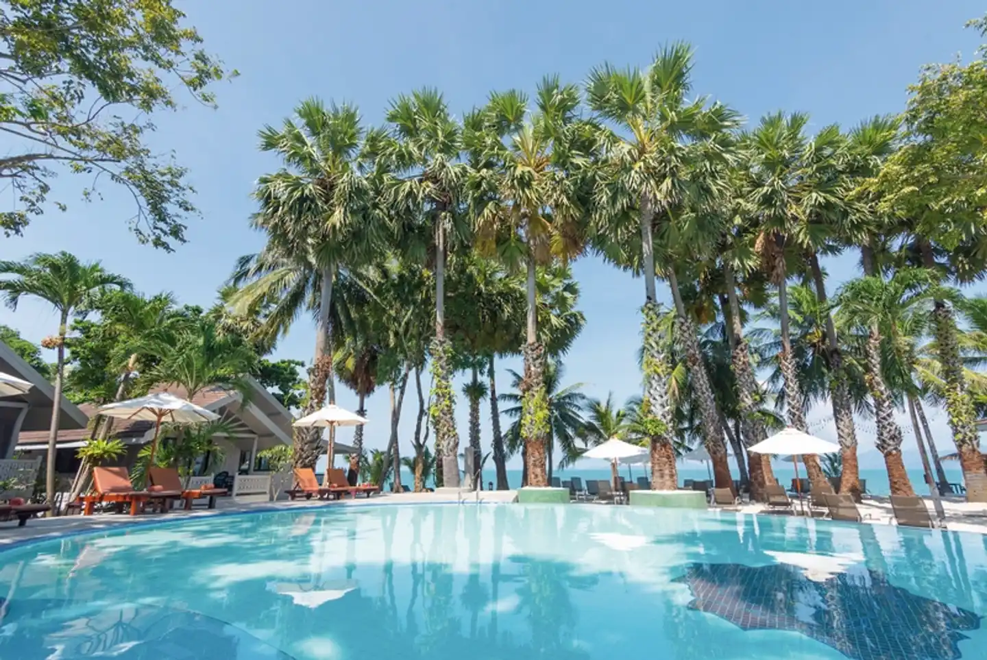 Paradise Beach Resort Pool