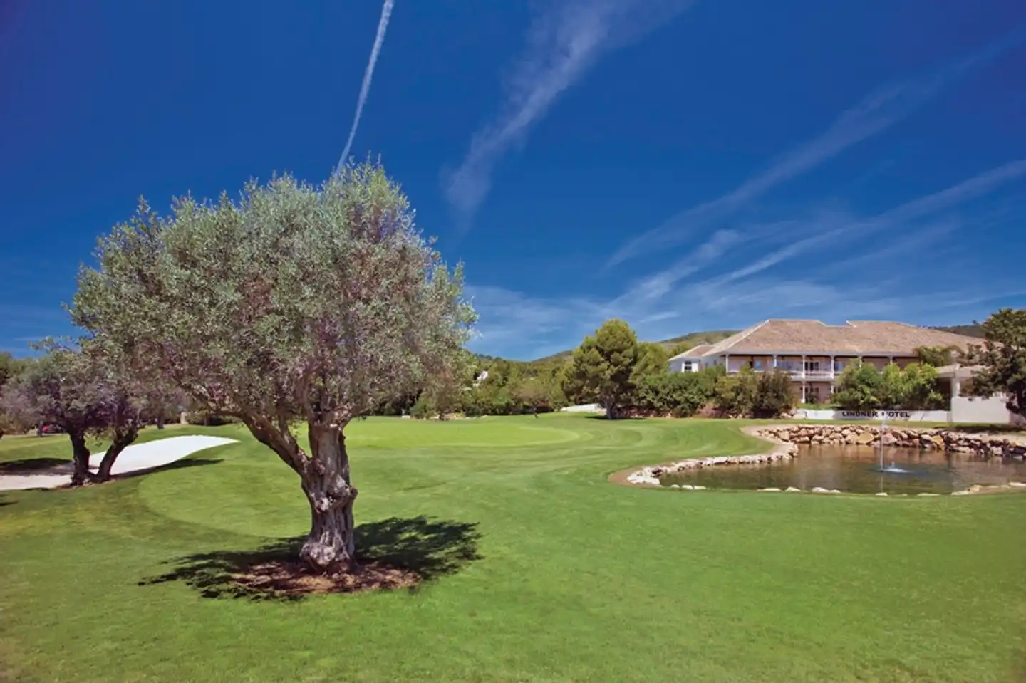 Lindner Hotel Mallorca Portals Nous, part of JdV by Hyatt Garten