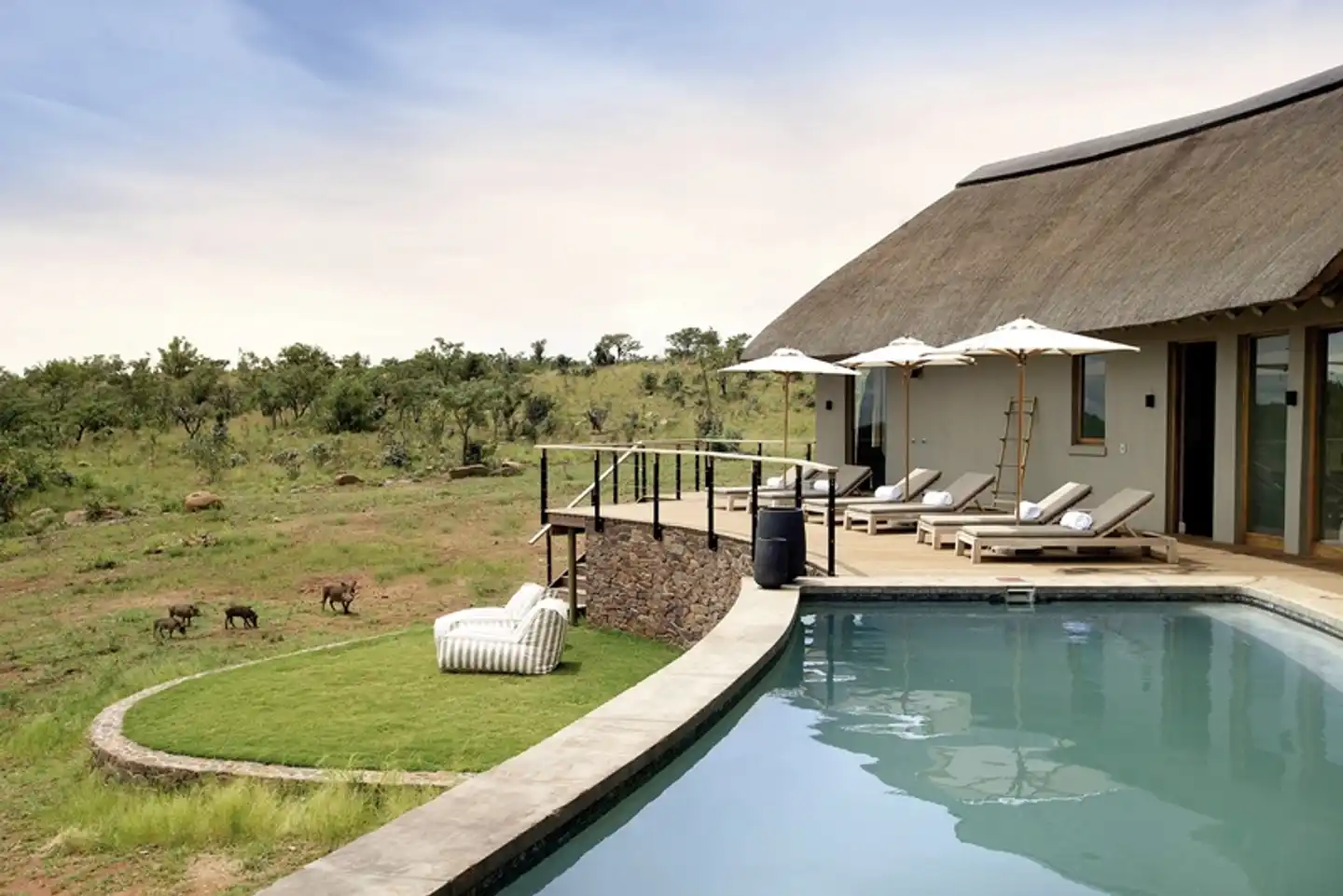 Mhondoro Safari Lodge & Villa Pool