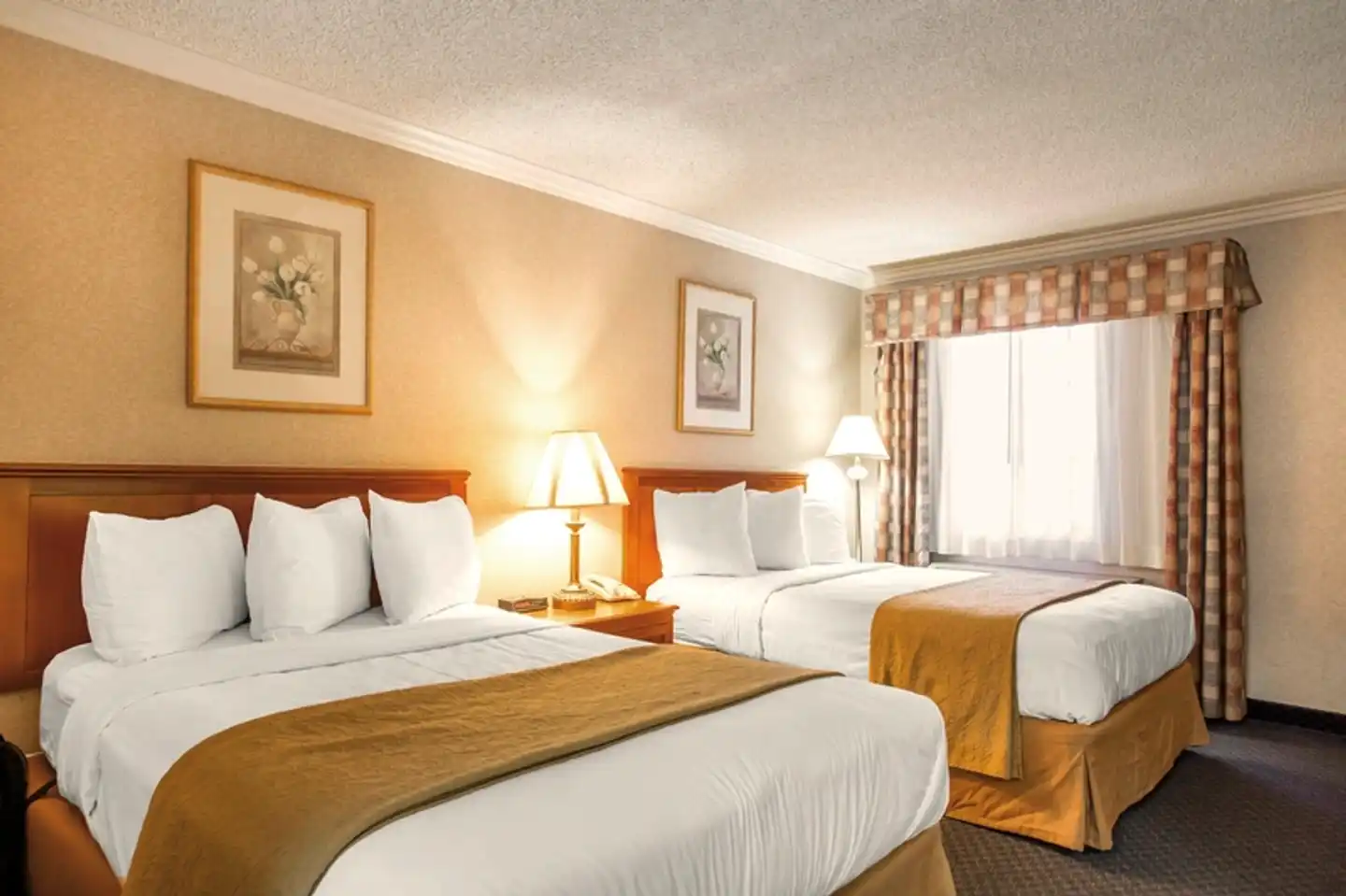 Quality Inn Near Hollywood Walk of Fame Wohnbeispiel