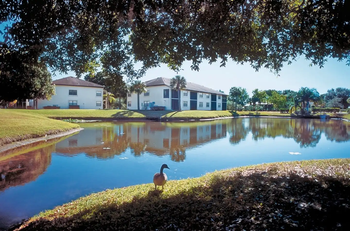 Shorewalk Vacation Villas Pool