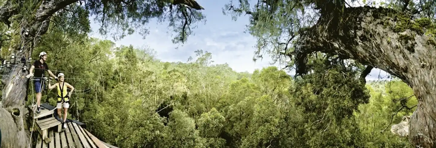 Tsitsikamma Lodge & Spa Landschaft