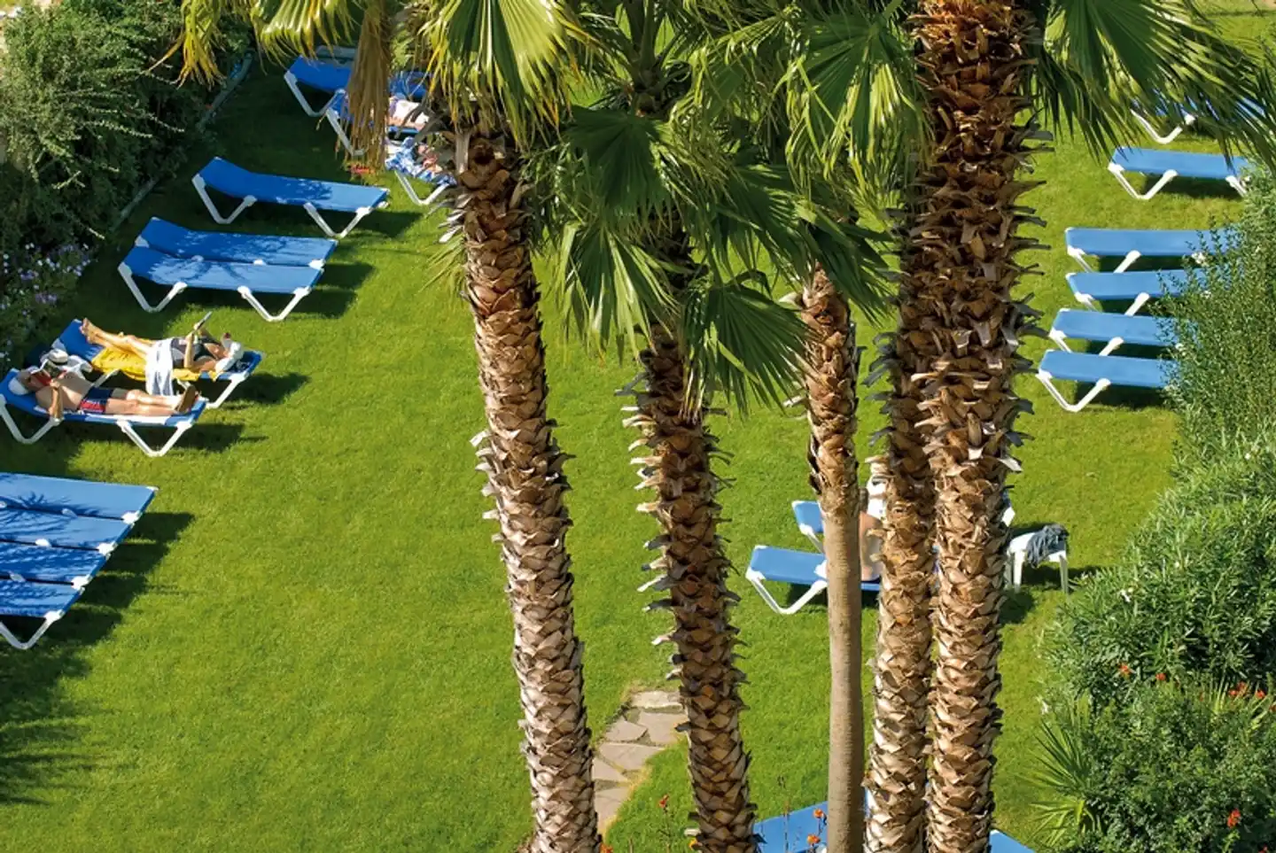 Tropic Park Garten