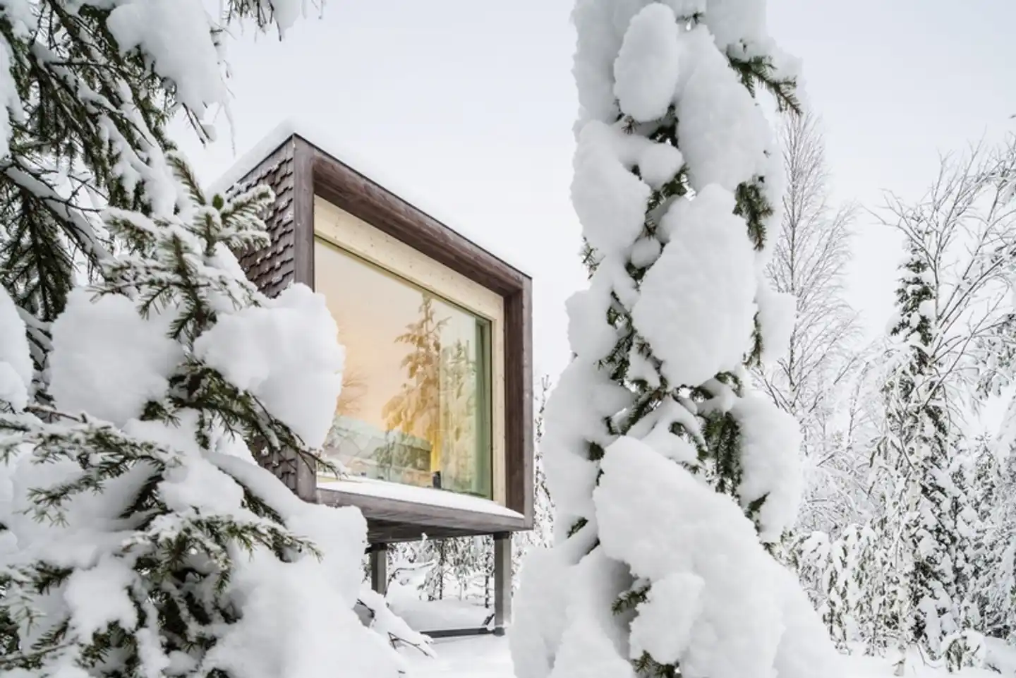 Arctic TreeHouse Hotel Aussenansicht