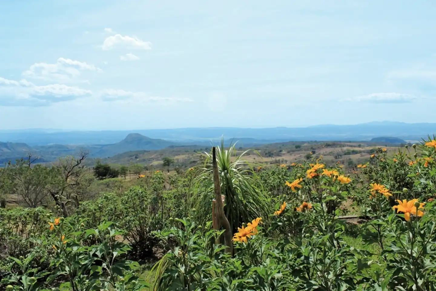 Nationalpark Rincón de le Vieja Landschaft