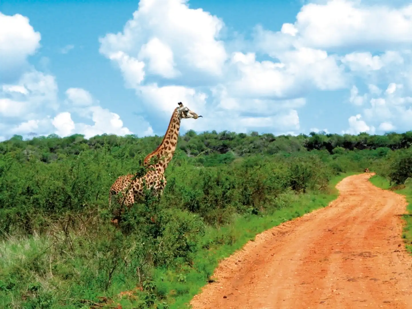 Tsavo Abenteuer (Privatreise) Landschaft