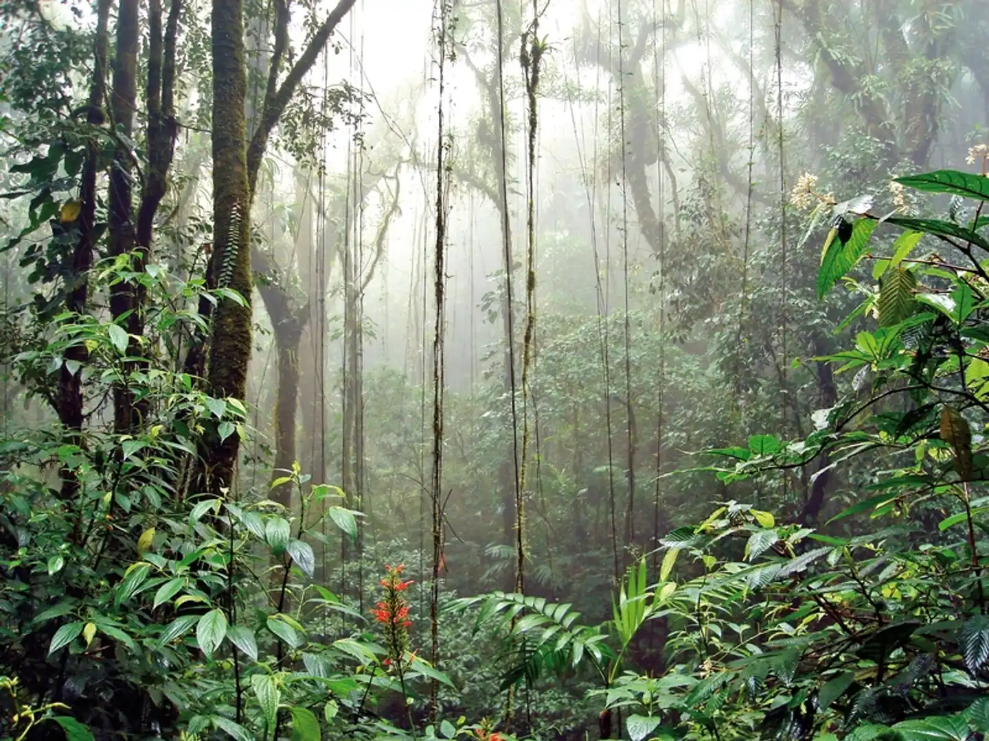 Best of Costa Rica Landschaft