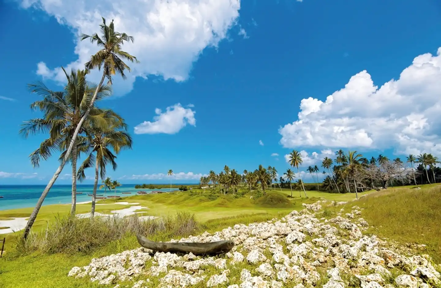 Sea Cliff Resort & Spa Garten