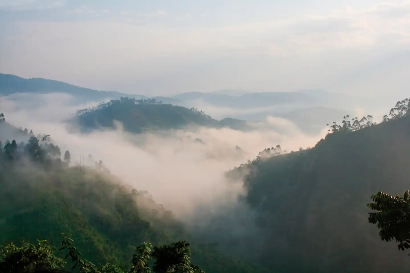 Stippvisite Uganda Landschaft