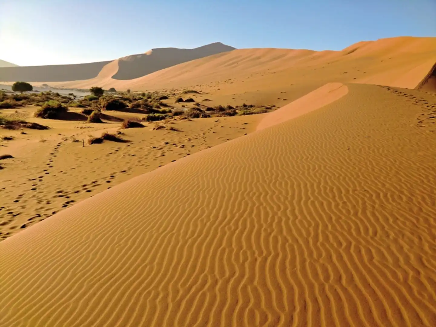 Namibia Classic Standard Landschaft