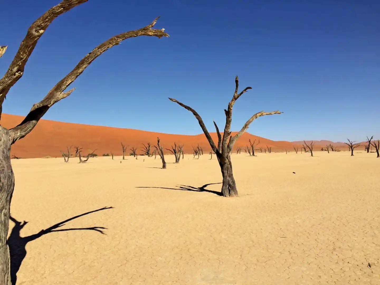 Traumreise Namibia Landschaft