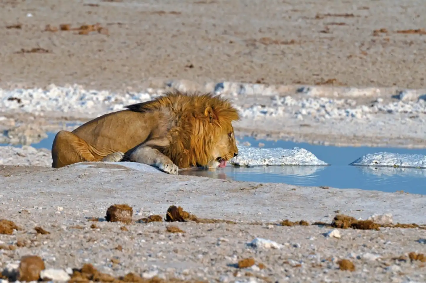Traumreise Namibia Strand