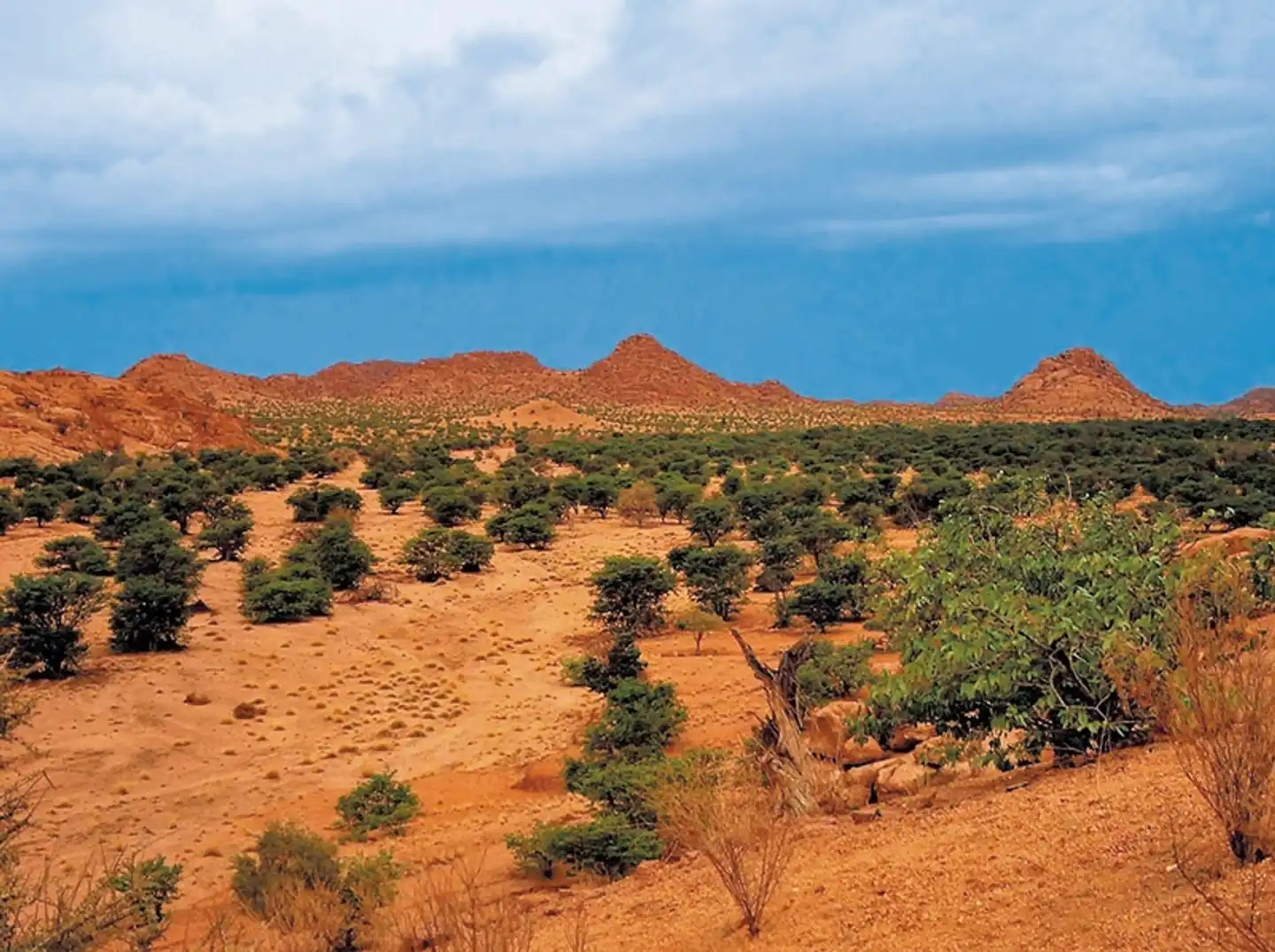 Namibia Kaleidoskop Standard Landschaft