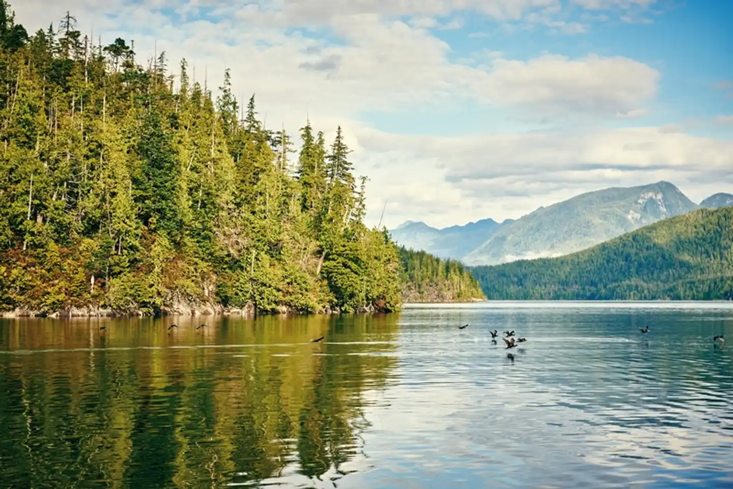 Beautiful BC - Erlebnis Pur! Landschaft