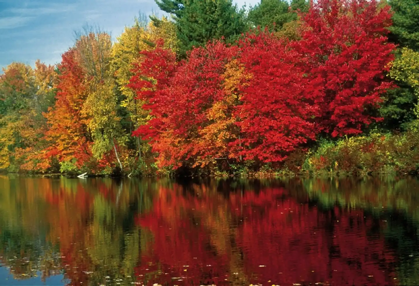 Farbenpracht des Indian Summer (ab Boston/bis New York) Garten