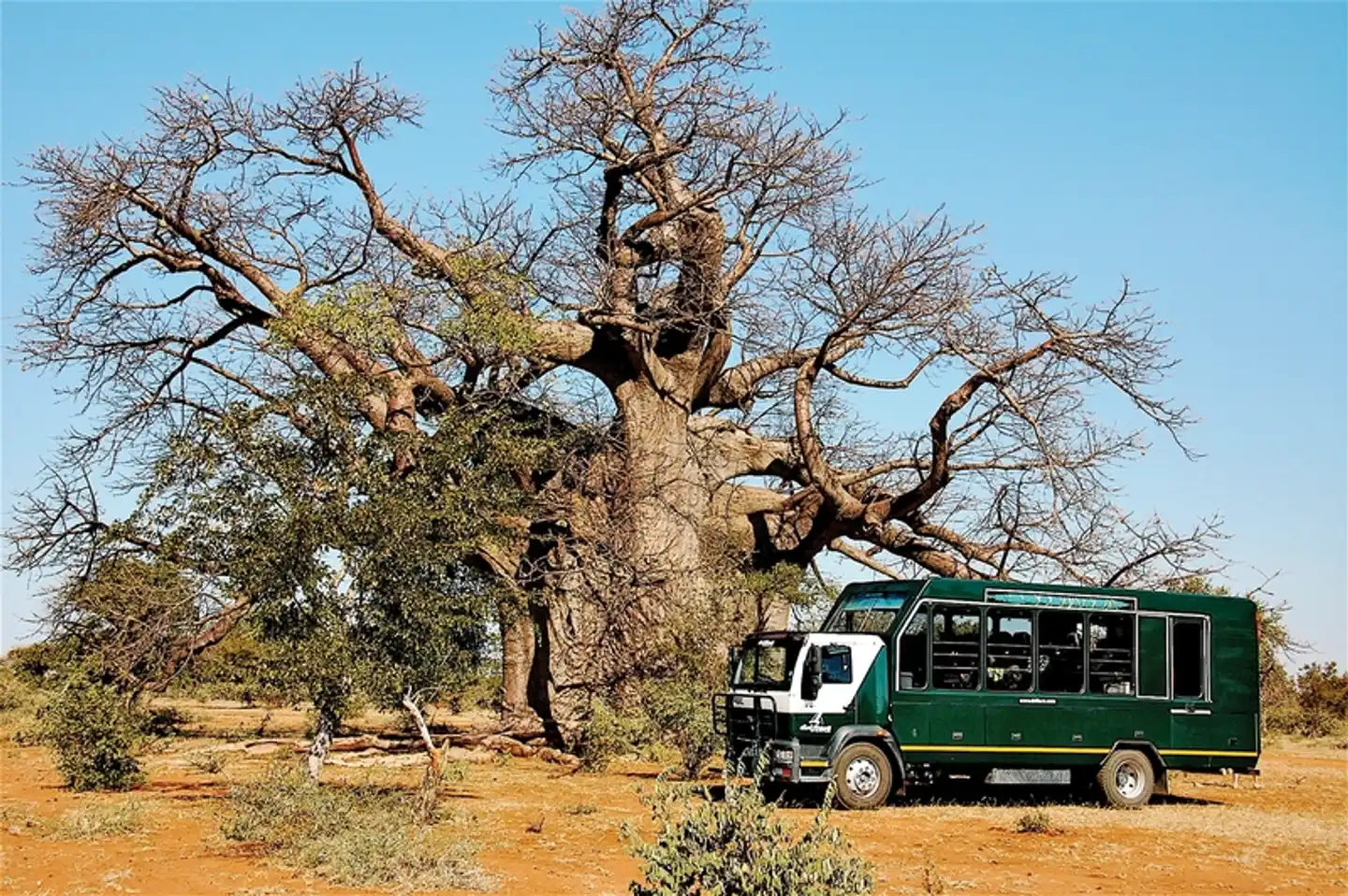 Drifters - Botswana Explorer 17 Nächte ab/bis Johannesburg Landschaft