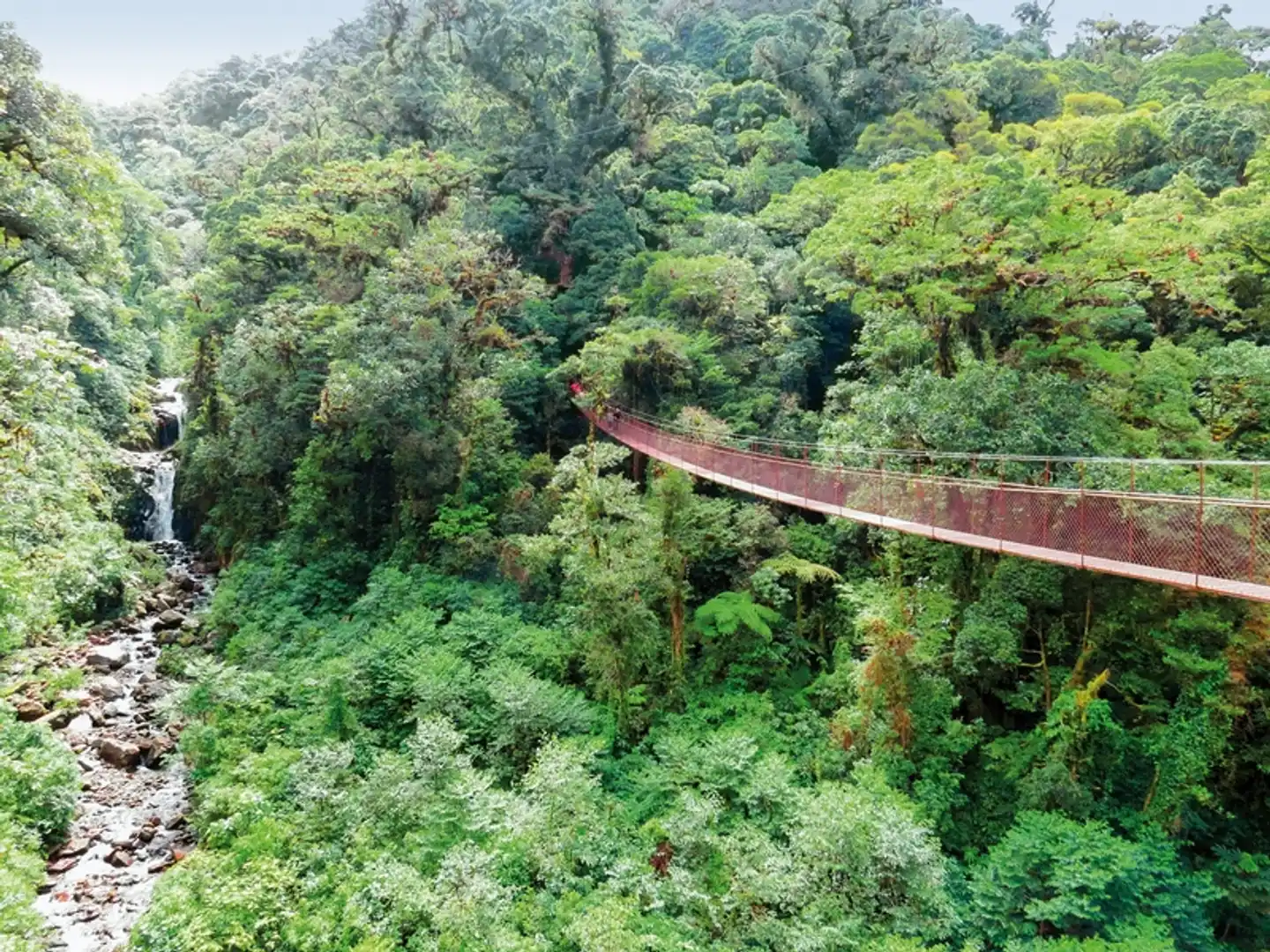 Panama auf eigene Faust inkl. Anschluss Bocas del Toro Landschaft