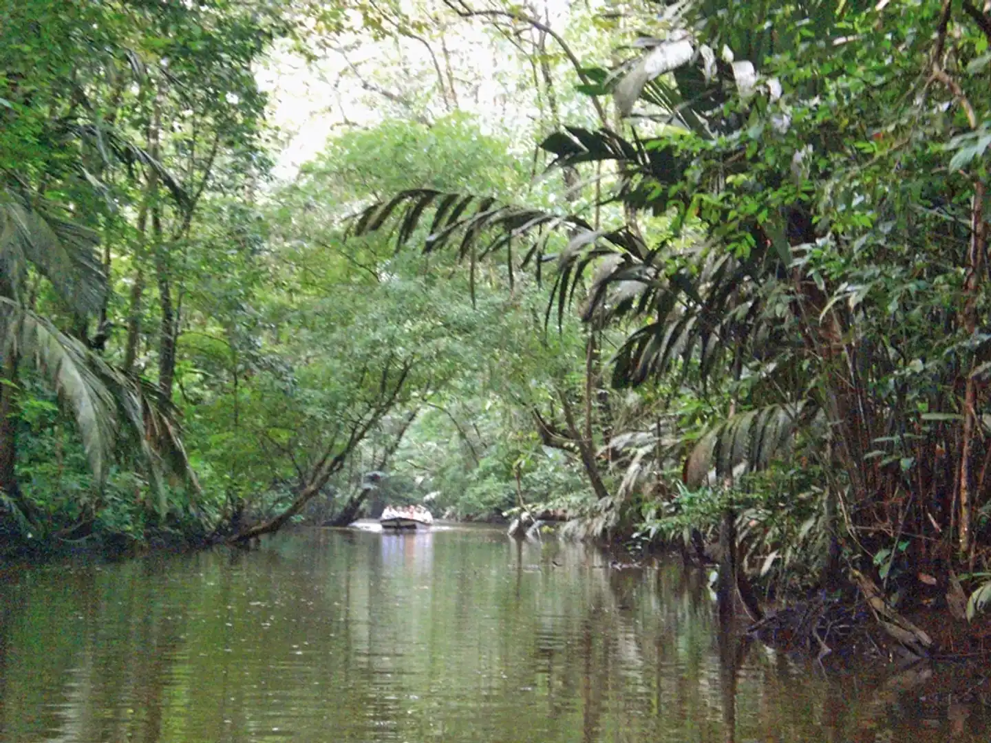 Wildlife Pur von der Karibik zum Pazifik (mit Badeverlängerung) Landschaft