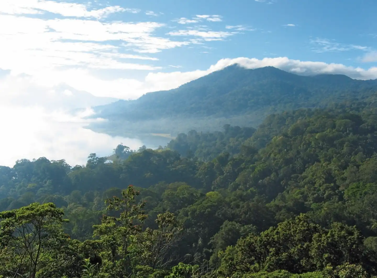 Abenteuer Westbali & Ostjava (Privatreise) Landschaft