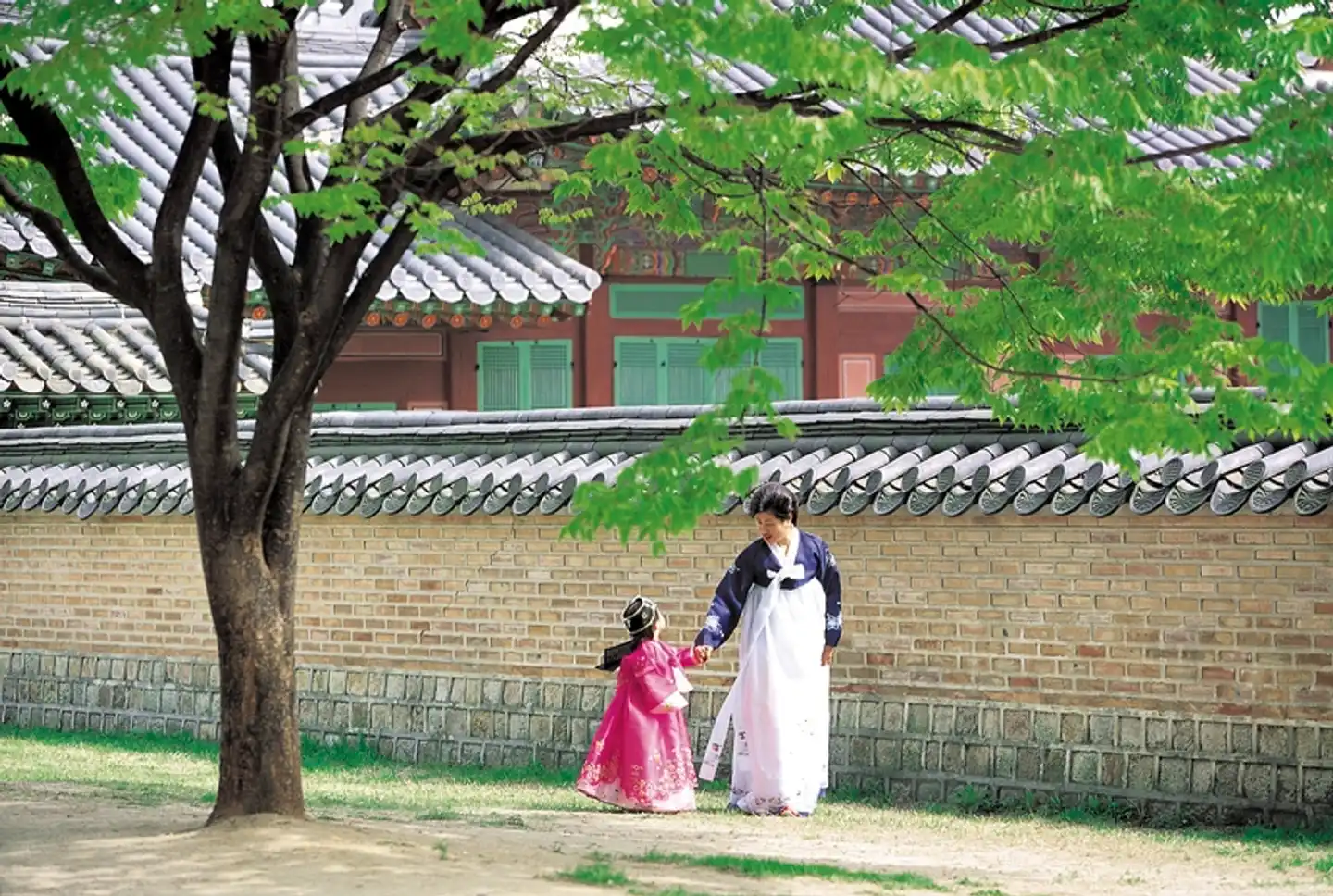 Südkorea aktiv (nur Landprogramm) Sport und Entertainment