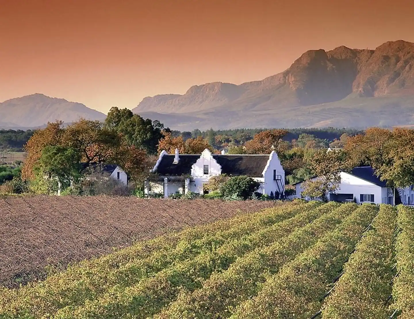 Südafrika zum Verweilen (Kapstadt-Johannesburg) Landschaft