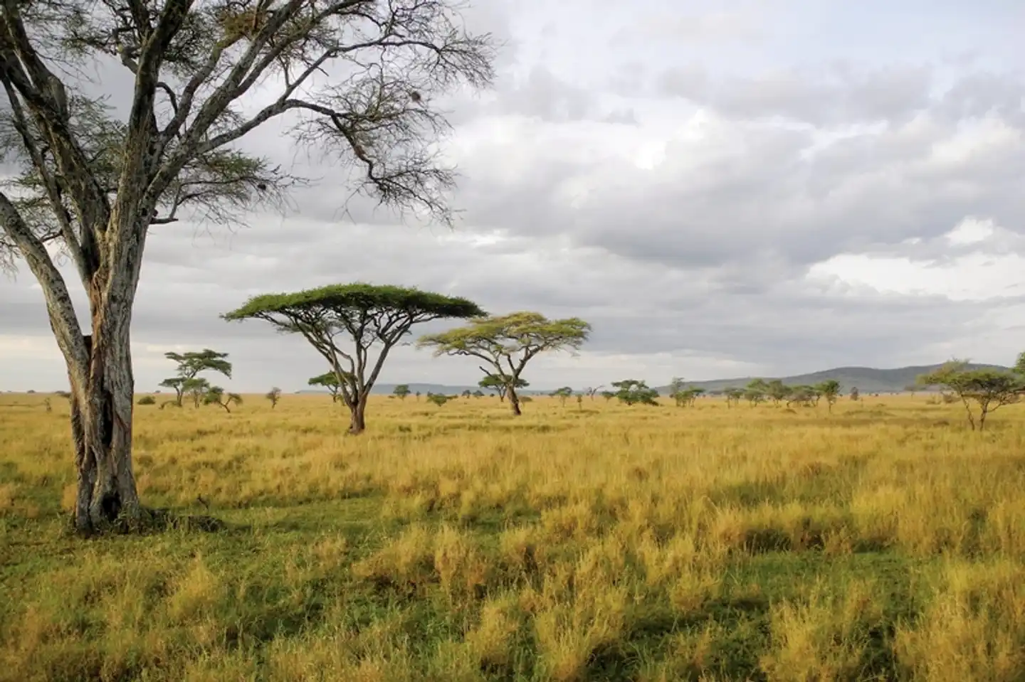 Drifters - Kenia & Tansania Explorer (Camping Tour) Landschaft