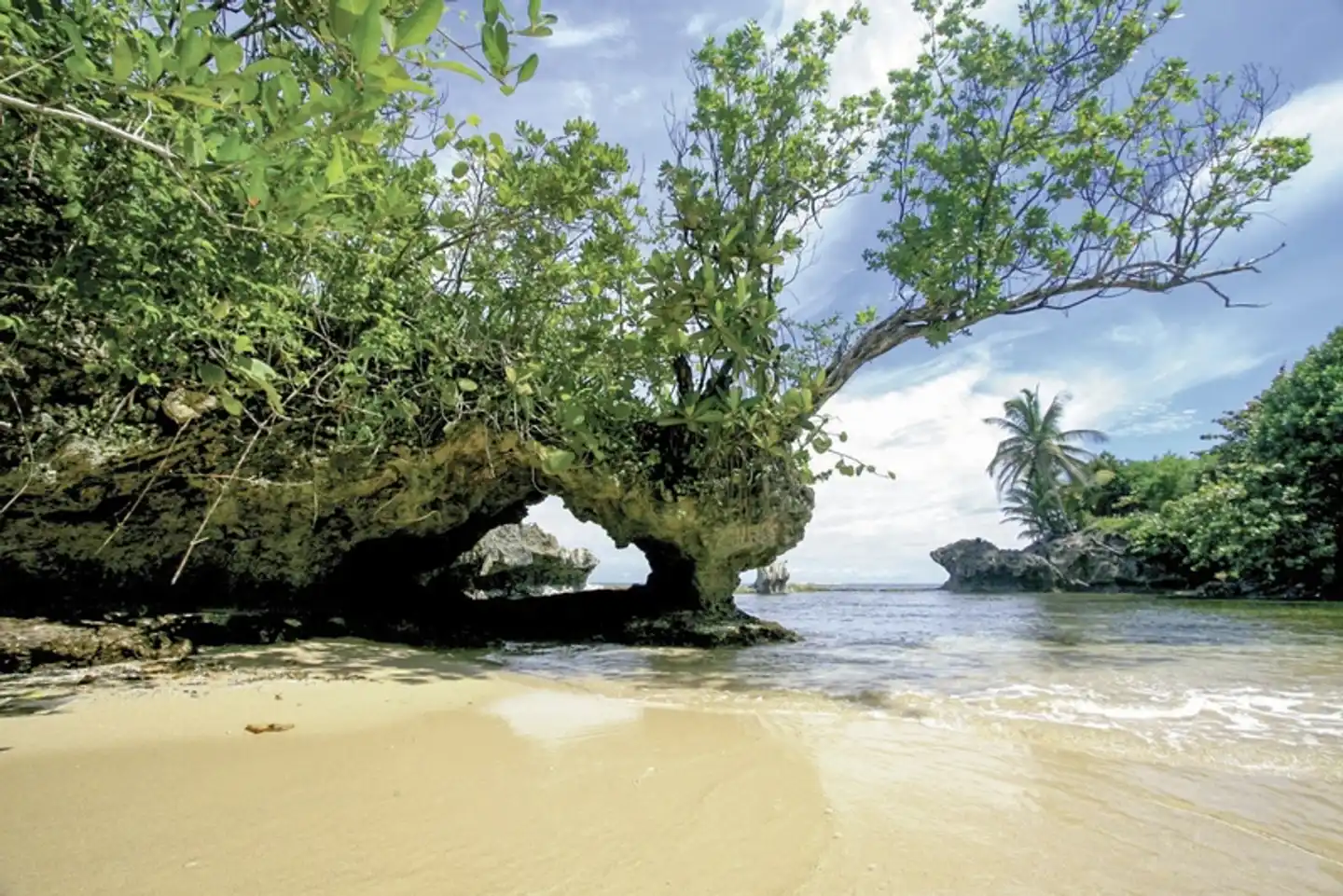 Panama auf eigene Faust inkl. Anschluss Bocas del Toro Garten
