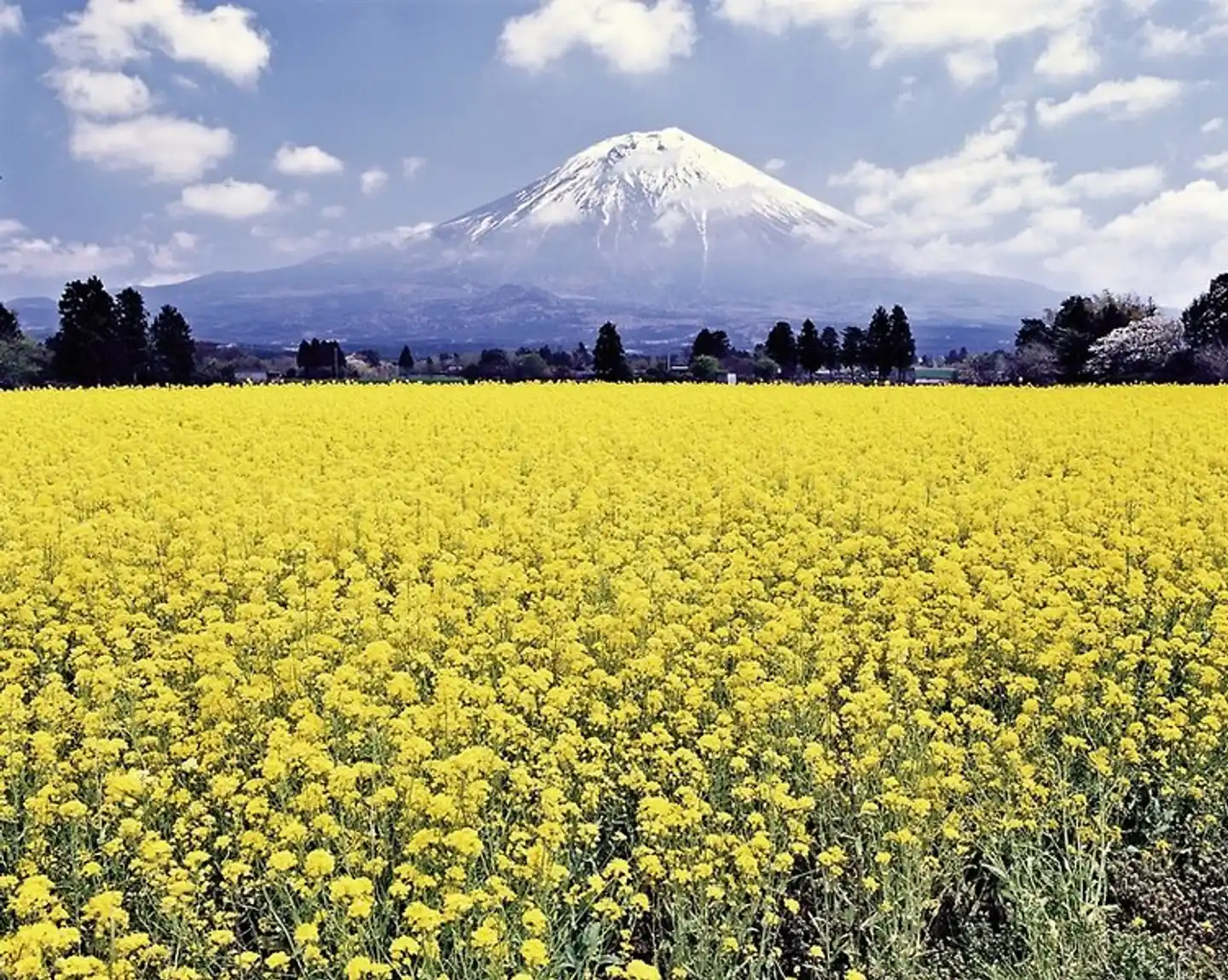 Japan & Korea: Kaleidoskop Fernost (nur Landprogramm) Landschaft